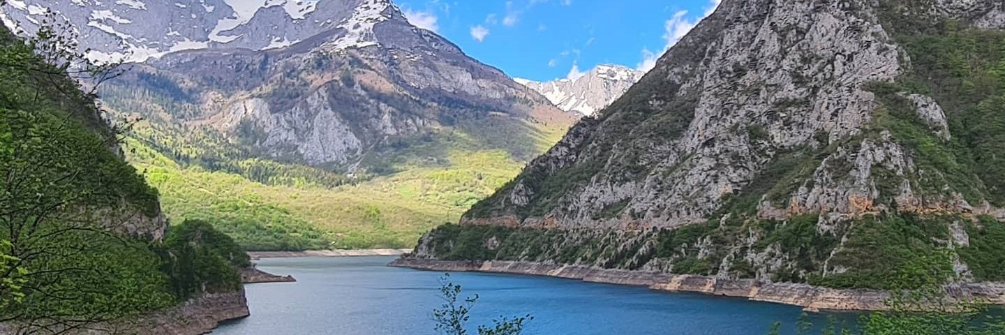 Radostin Nunev |$ODGO banner