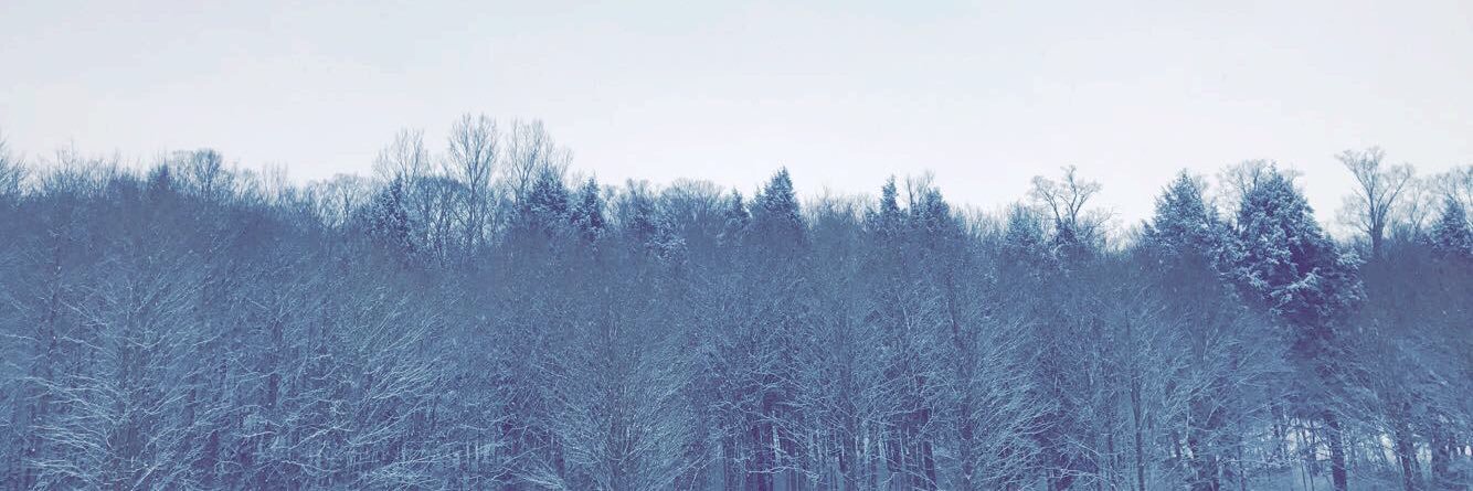 LauraPlatz's profile banner image