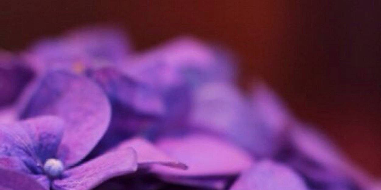 WhiteHeartStore's profile banner image