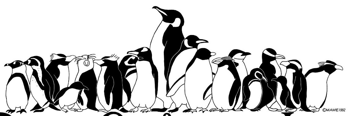 pcj_penguin's profile banner image
