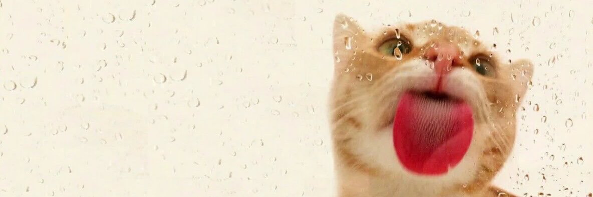 outsidemheart's profile banner image