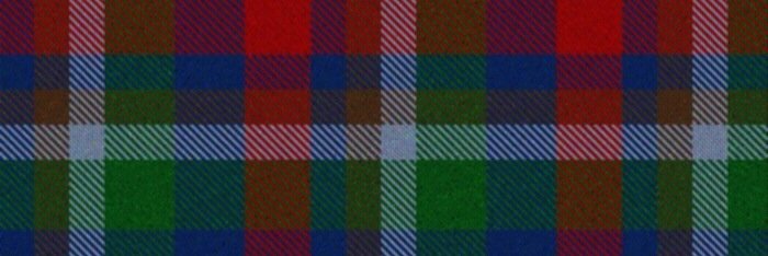 fedefishvet's profile banner image