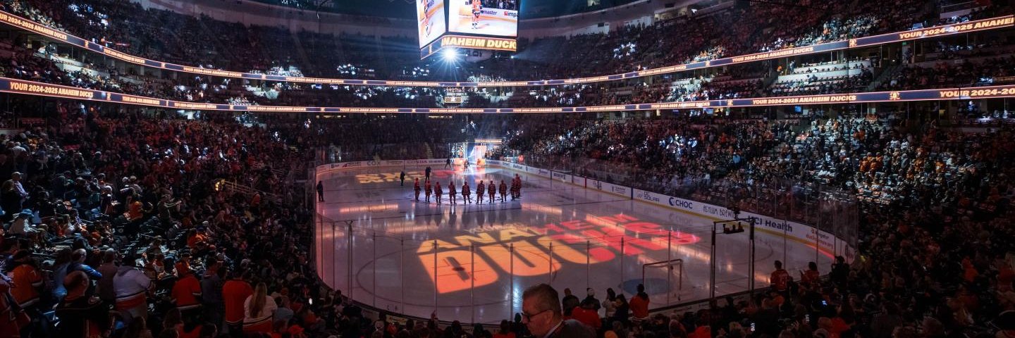 punkologist 🇦🇺🇳🇱 #FlyTogether 🏒🦆 banner