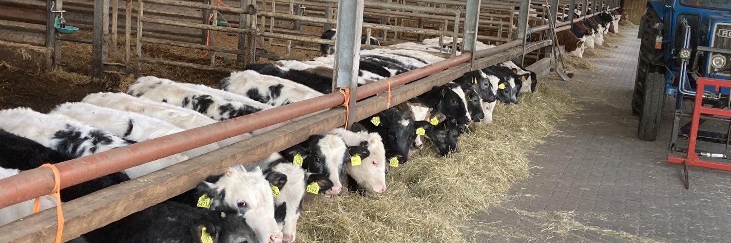 Jan elze Meendering banner