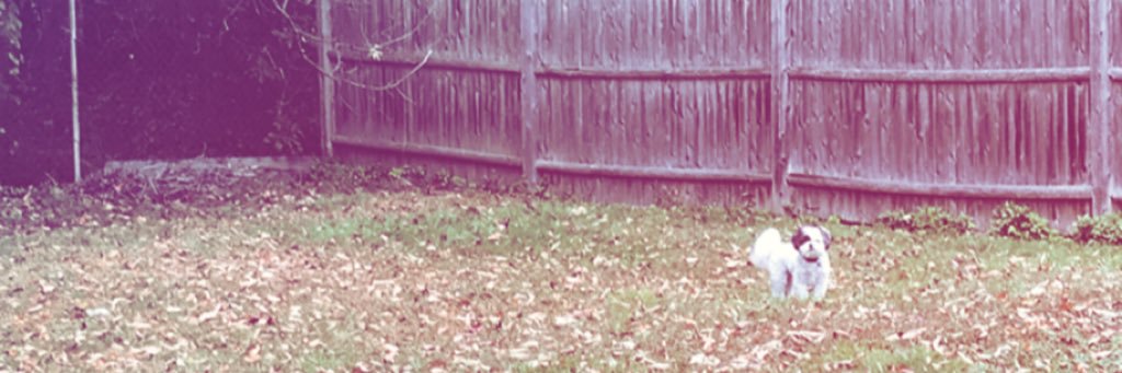 wheres_miranda's profile banner image