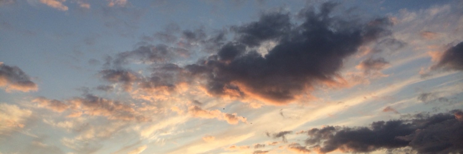 sredone's profile banner image