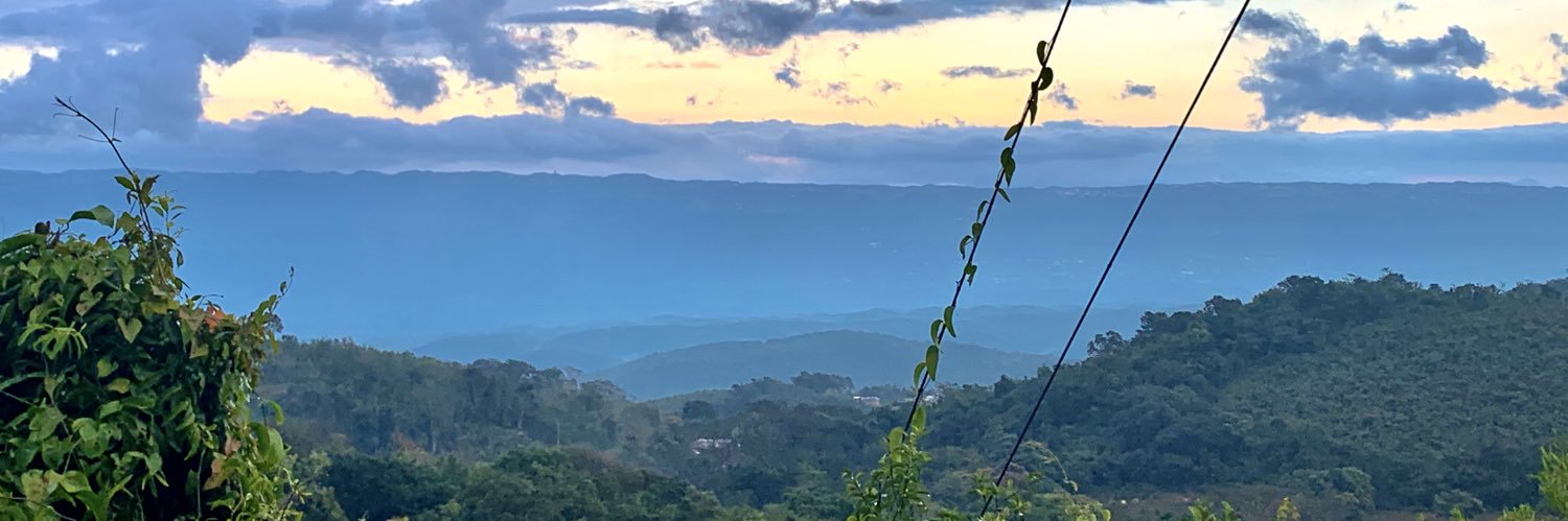 AlexGreen's profile banner image