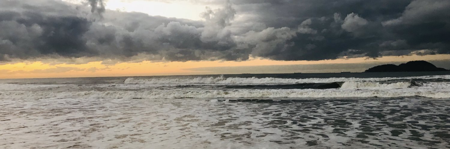 Alisson Simoes banner