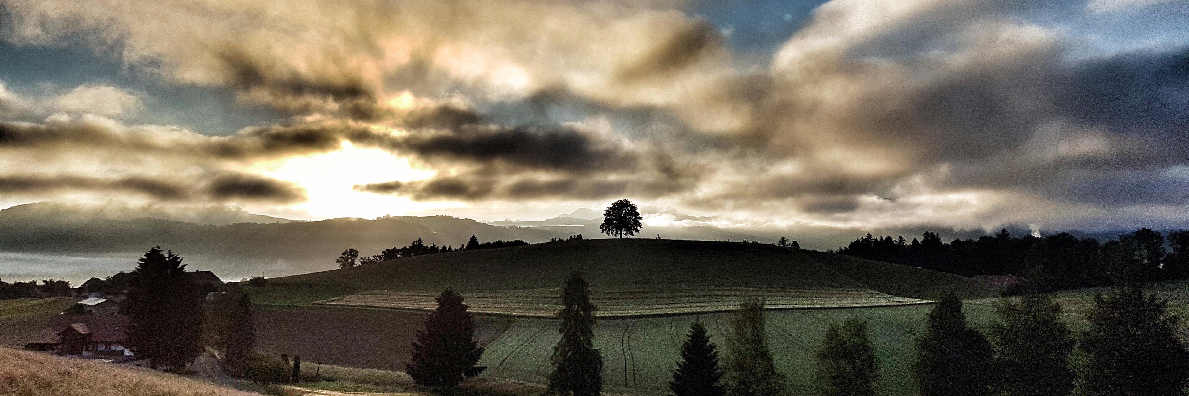 Philippe Mettler banner