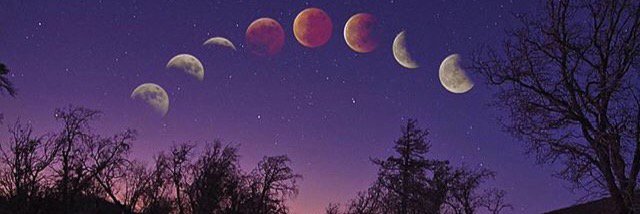 MicolTesolin5's profile banner image
