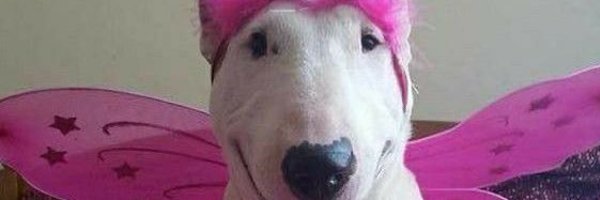 gabrielasssvi Profile Banner