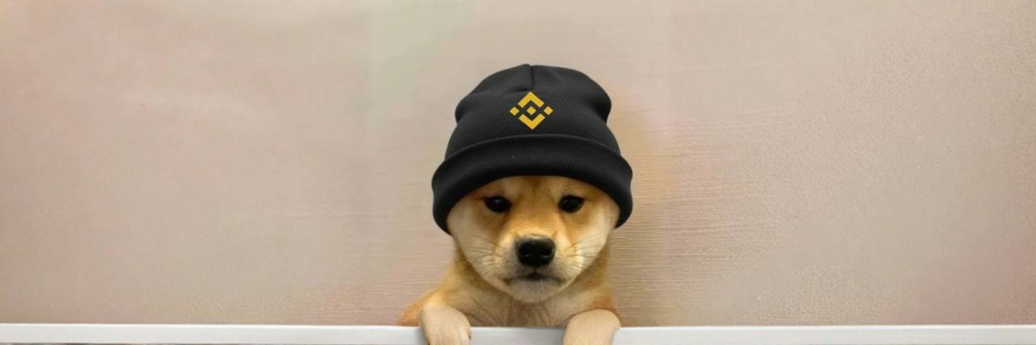 Dogwifhat Binance Banner