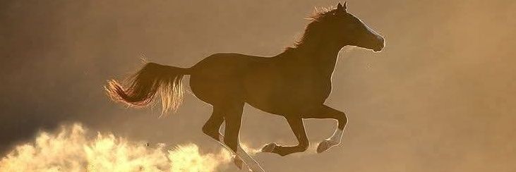 Asad _ منصور banner