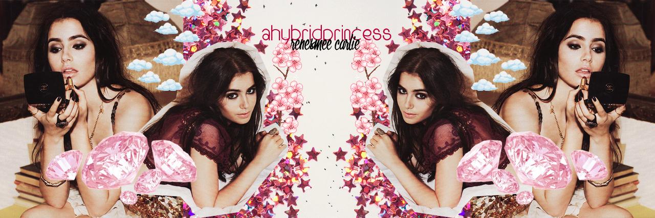 AHybridPrincess's profile banner image
