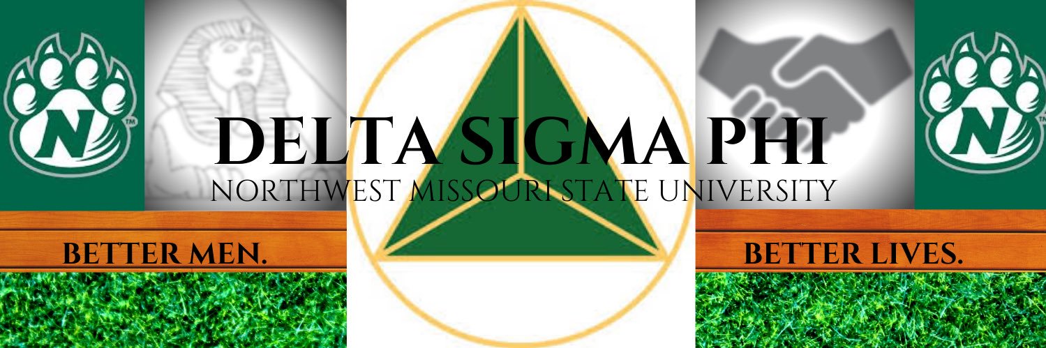 Delta Sigma Phi banner