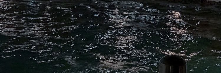safa_f_s's profile banner image