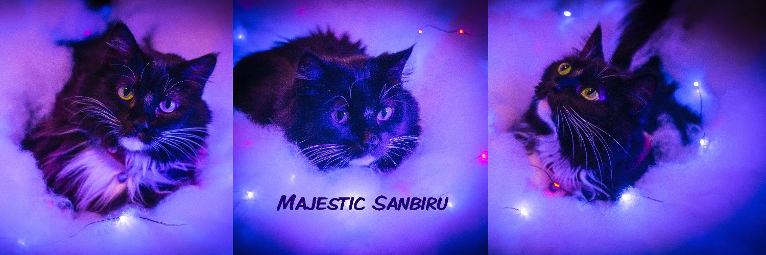 SanbiruArts's profile banner image