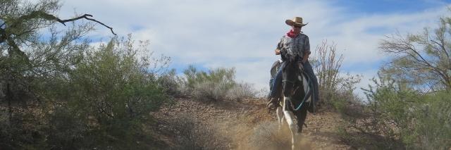 andyhealey's profile banner image