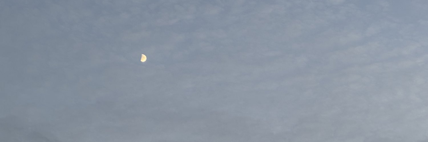 さくら🌸のつぶやき部屋 banner