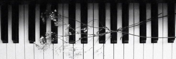 fugue516593's profile banner image