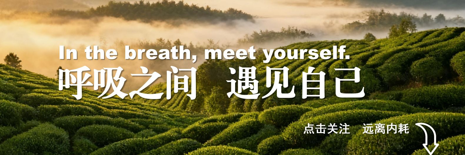 MindfulReturn 身心修复局 banner