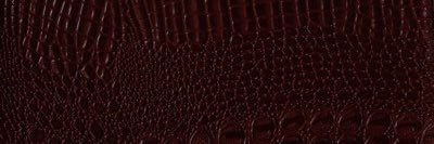 Dame de Lumière banner