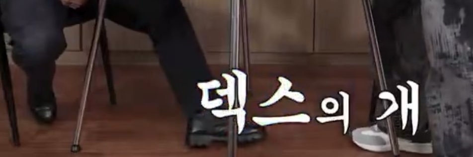 개 banner