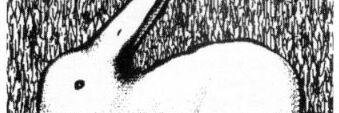 daniela36751761's profile banner image