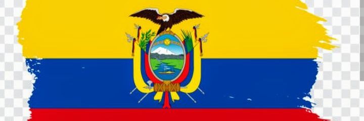 pelucón, y ??? banner