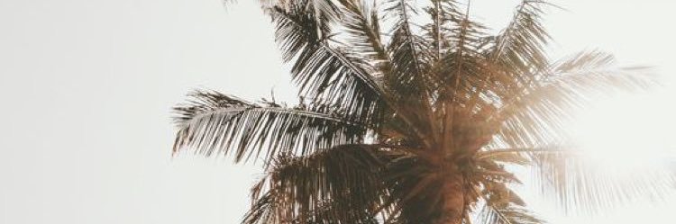 Shnystal's profile banner image
