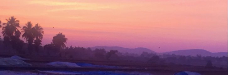 MsLittleM's profile banner image