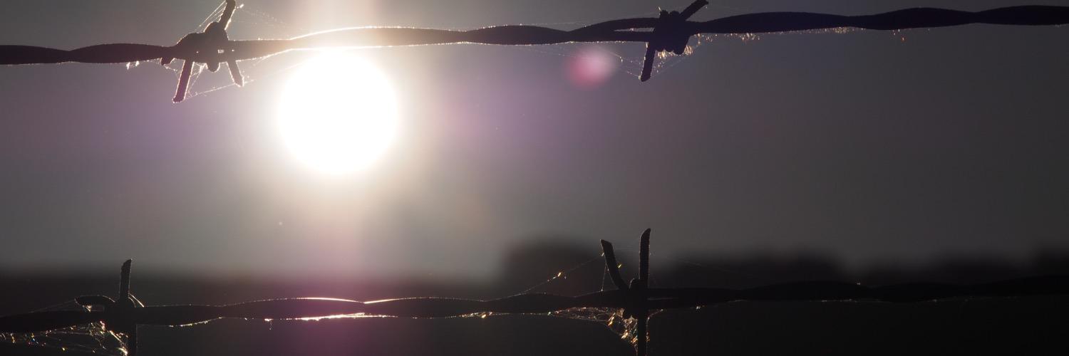 iwatti666's profile banner image