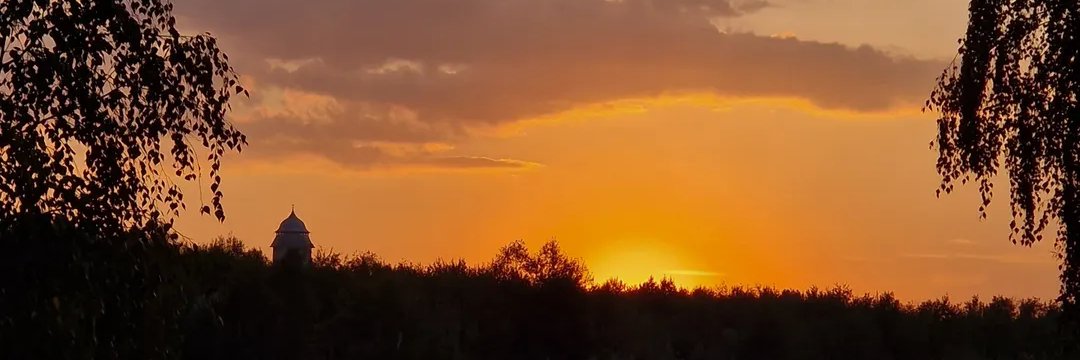 Victoria Harris banner