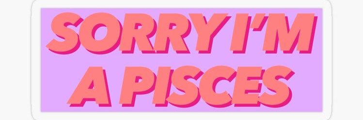 _camicostanzo's profile banner image