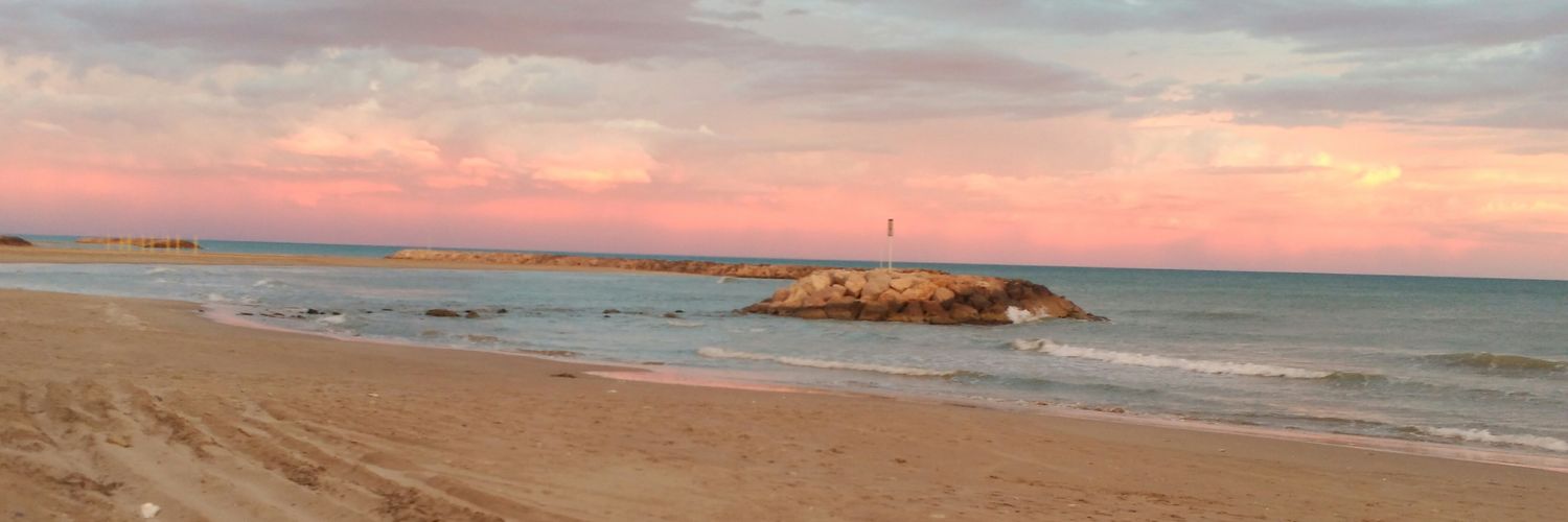 Patrícia banner
