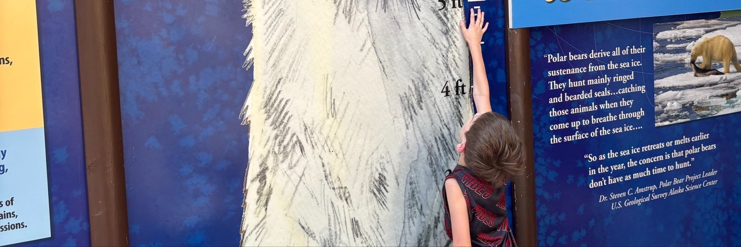ana_s54's profile banner image