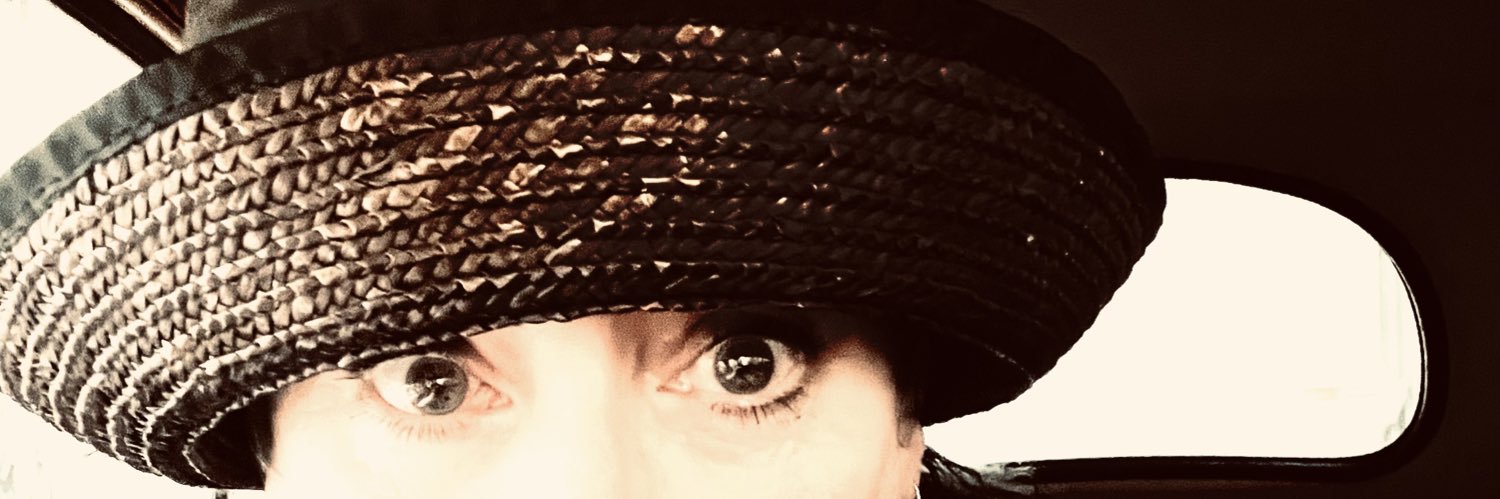Lesley S banner