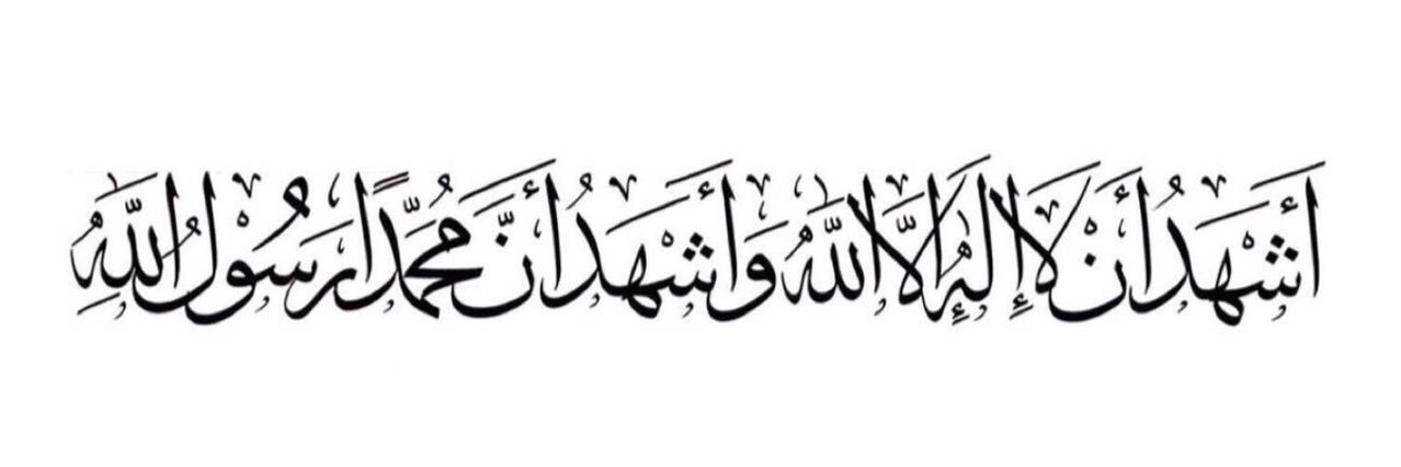 lost ✨. banner