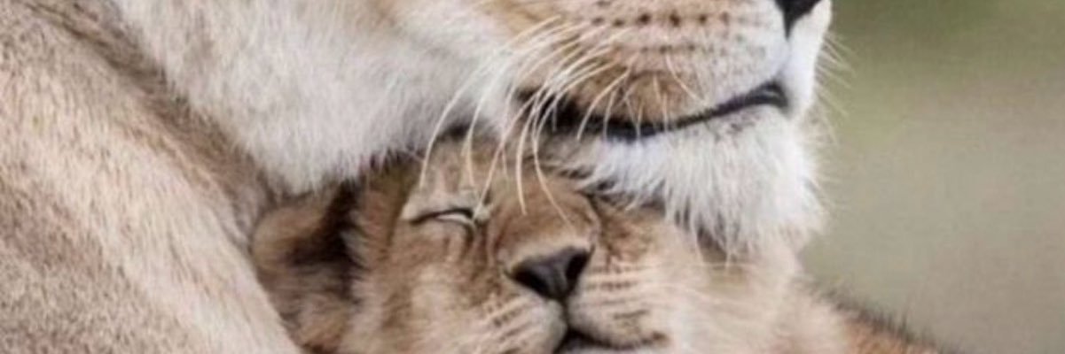 eaeqaa's profile banner image