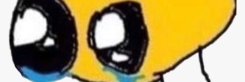Shay banner