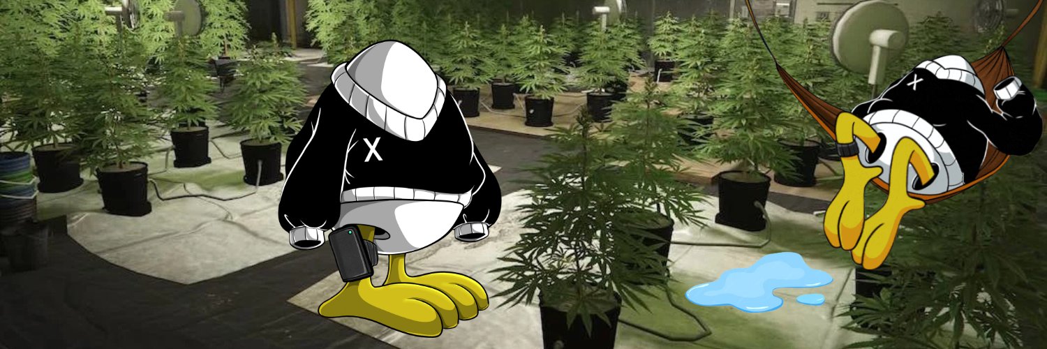 pifferyworld's profile banner image