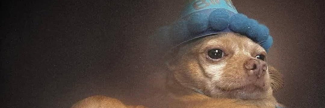 georgiidr's profile banner image