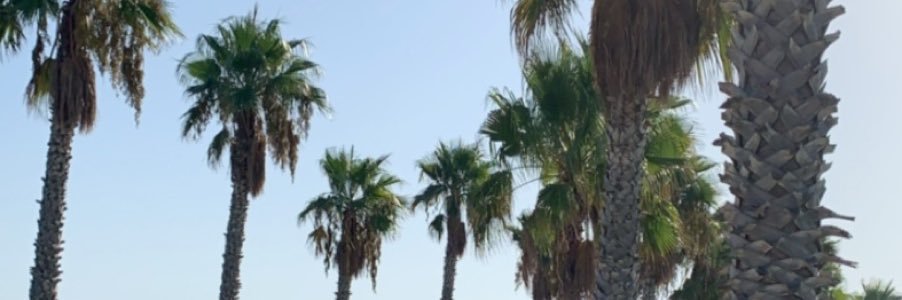 lunadc3's profile banner image