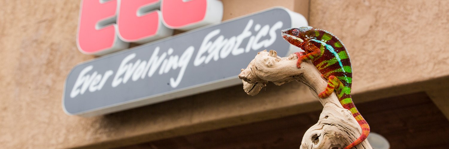 EEEexotics's profile banner image