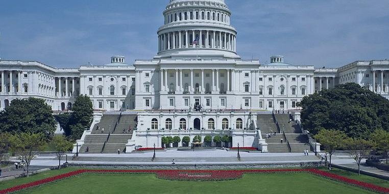 Judiciary-unofficial banner