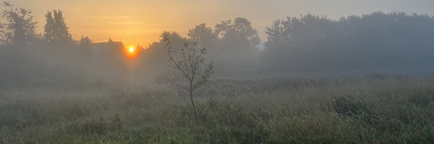 SarahJRothwell's profile banner image