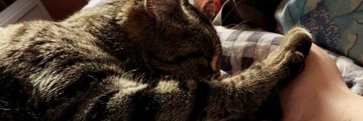 72Duclos's profile banner image