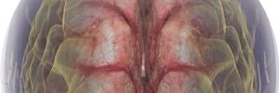 Kimberly Bernosky banner