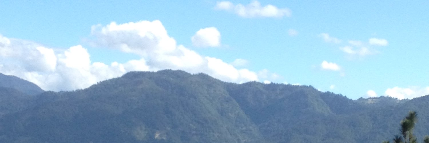 mifaji's profile banner image