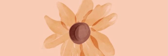 SouthrnSunflwr's profile banner image